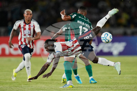 Colombia Brazil Copa Libertadores Soccer