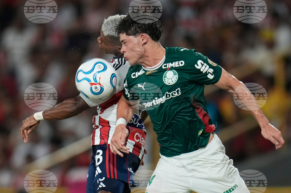 Colombia Brazil Copa Libertadores Soccer