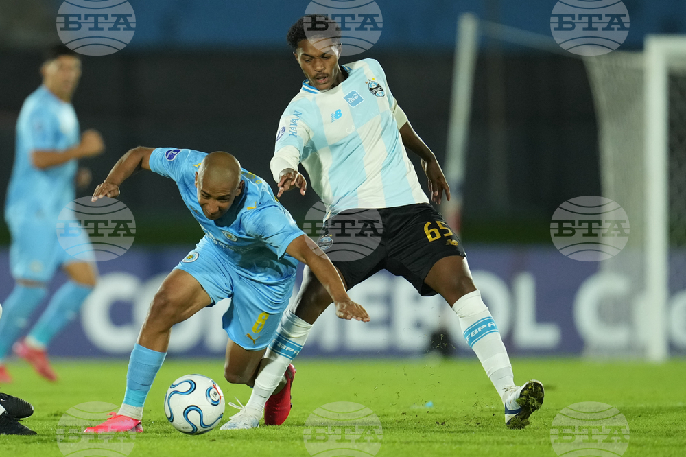 Uruguay Brazil Copa Sudamericana Soccer