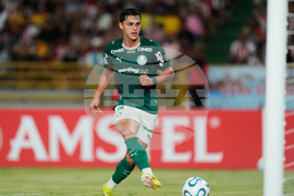 Colombia Brazil Copa Libertadores Soccer