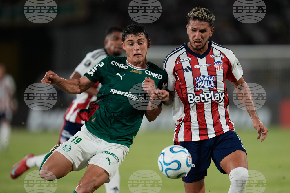 Colombia Brazil Copa Libertadores Soccer
