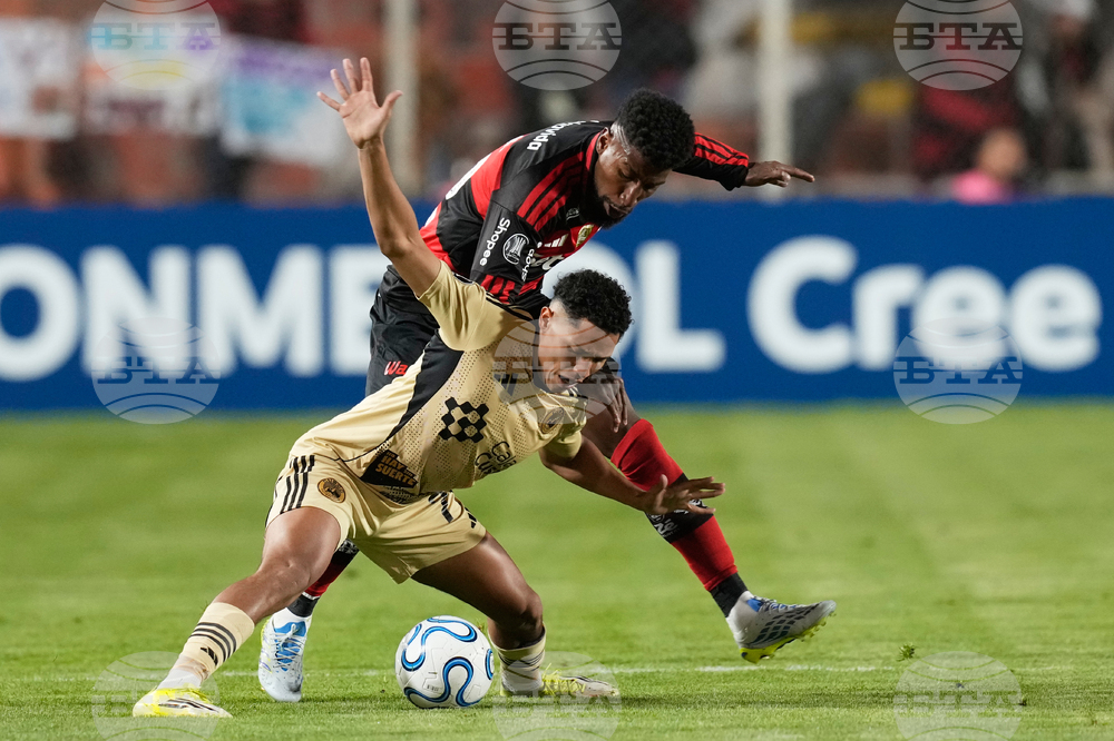 Peru Brazil Copa Libertadores Soccer