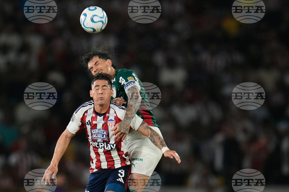 Colombia Brazil Copa Libertadores Soccer