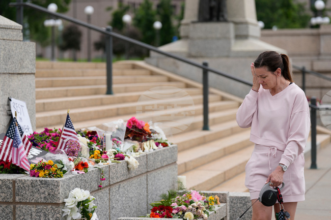 Political Violence Security Spending