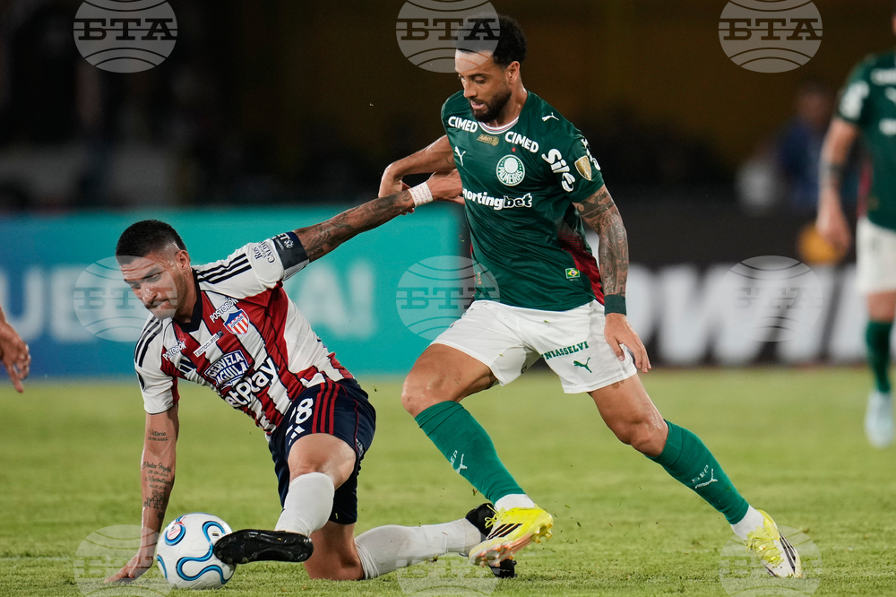 Colombia Brazil Copa Libertadores Soccer