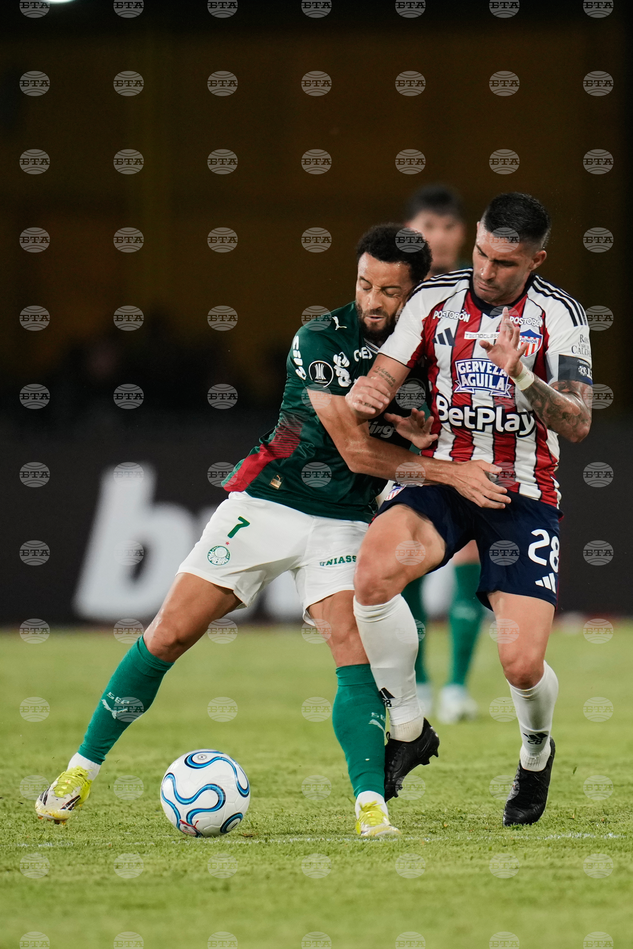 Colombia Brazil Copa Libertadores Soccer