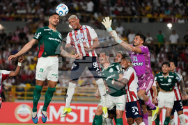Colombia Brazil Copa Libertadores Soccer