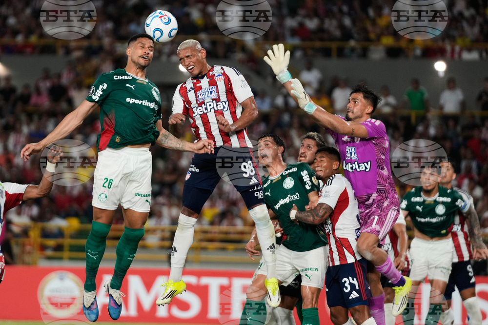 Colombia Brazil Copa Libertadores Soccer