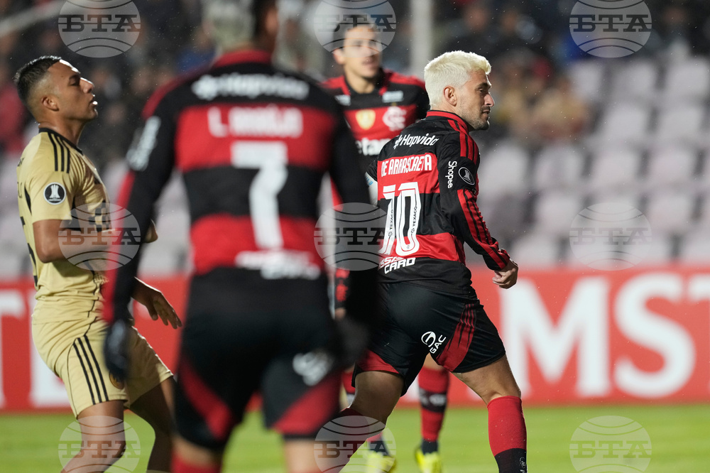 Peru Brazil Copa Libertadores Soccer