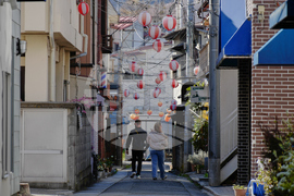 Japan Mount Fuji Cherry Blossom Woes
