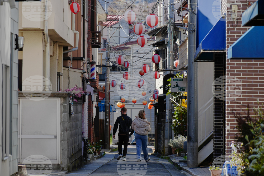 Japan Mount Fuji Cherry Blossom Woes