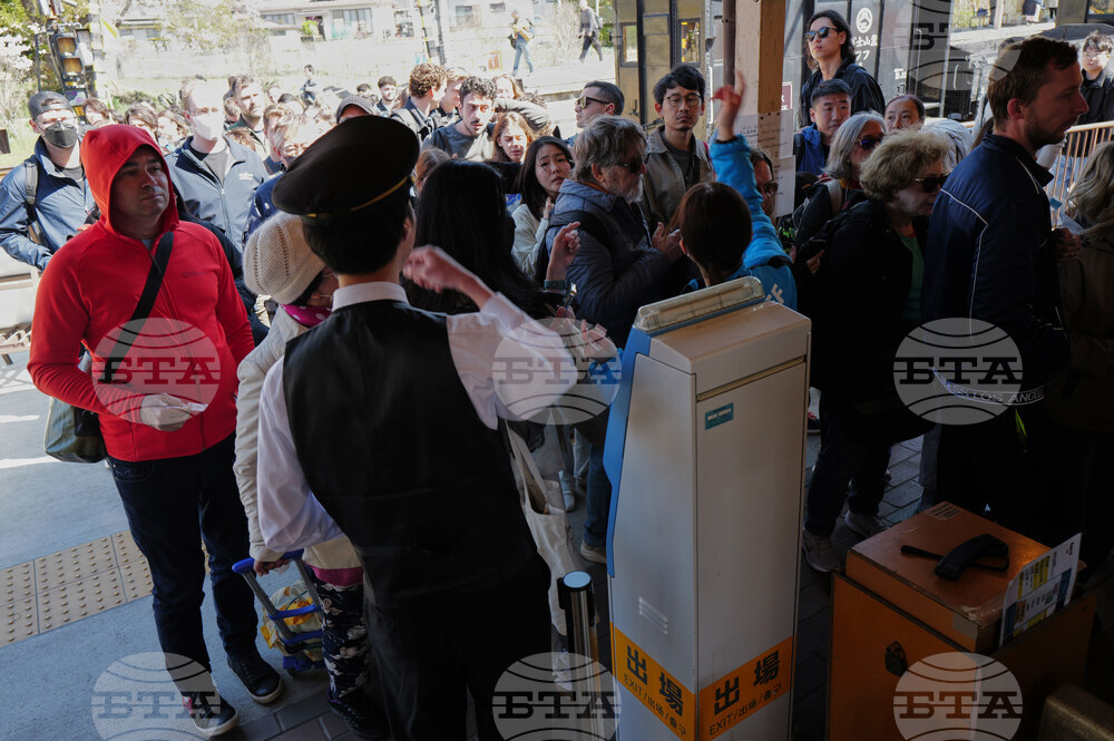 Japan Mount Fuji Cherry Blossom Woes