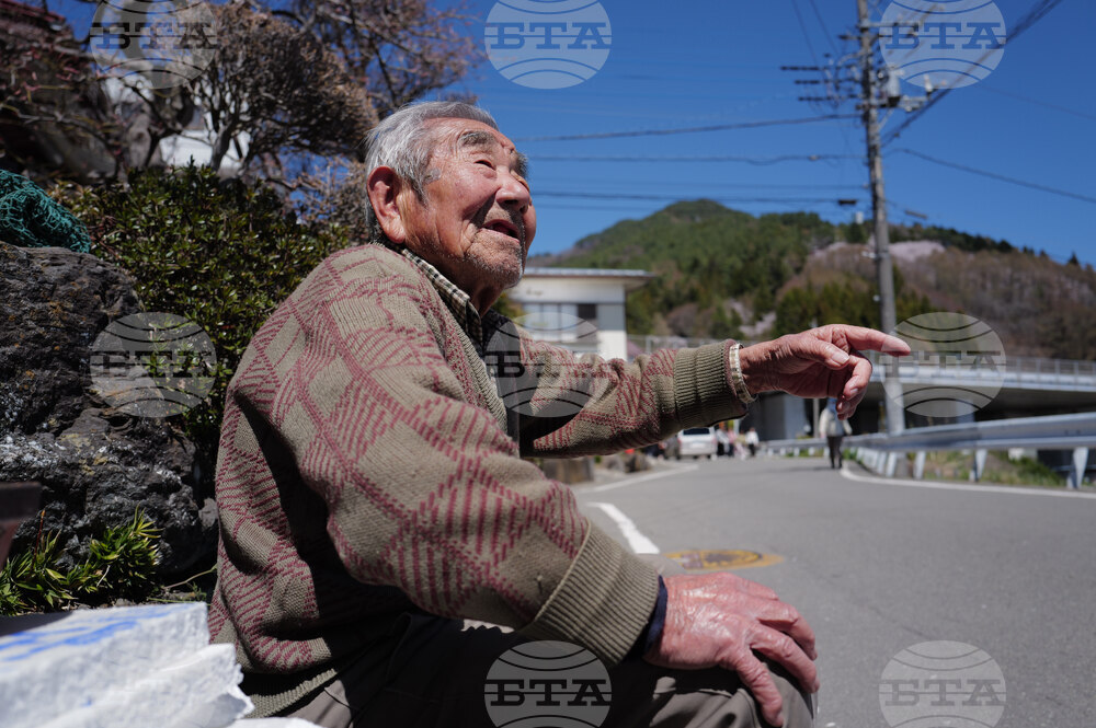 Japan Mount Fuji Cherry Blossom Woes