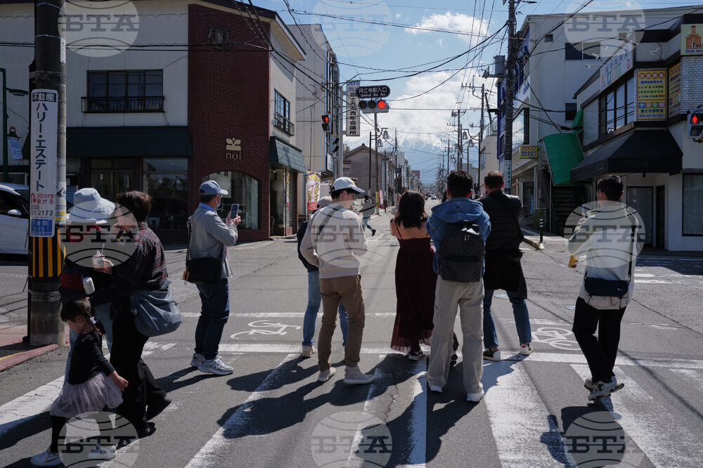 Japan Mount Fuji Cherry Blossom Woes