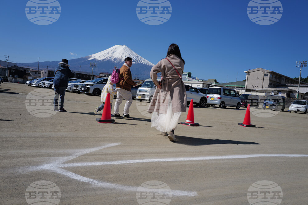 Japan Mount Fuji Cherry Blossom Woes