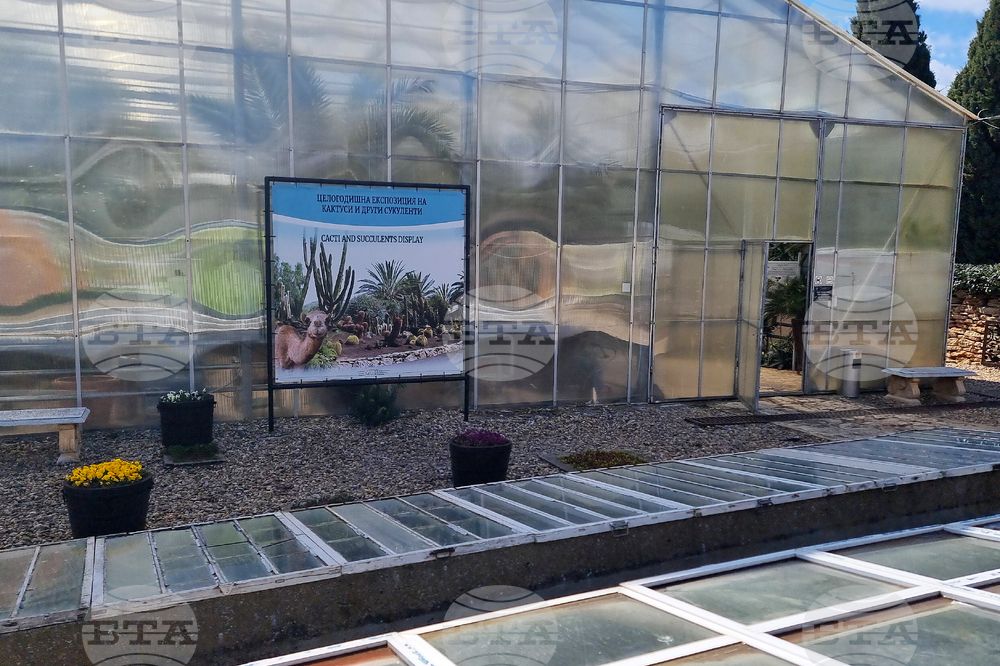 Балчик - Ботаническа градина - нов проект