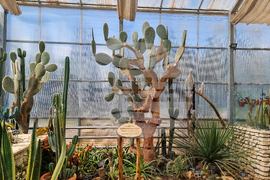 Балчик - Ботаническа градина - нов проект