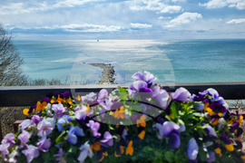 Балчик - Ботаническа градина - нов проект