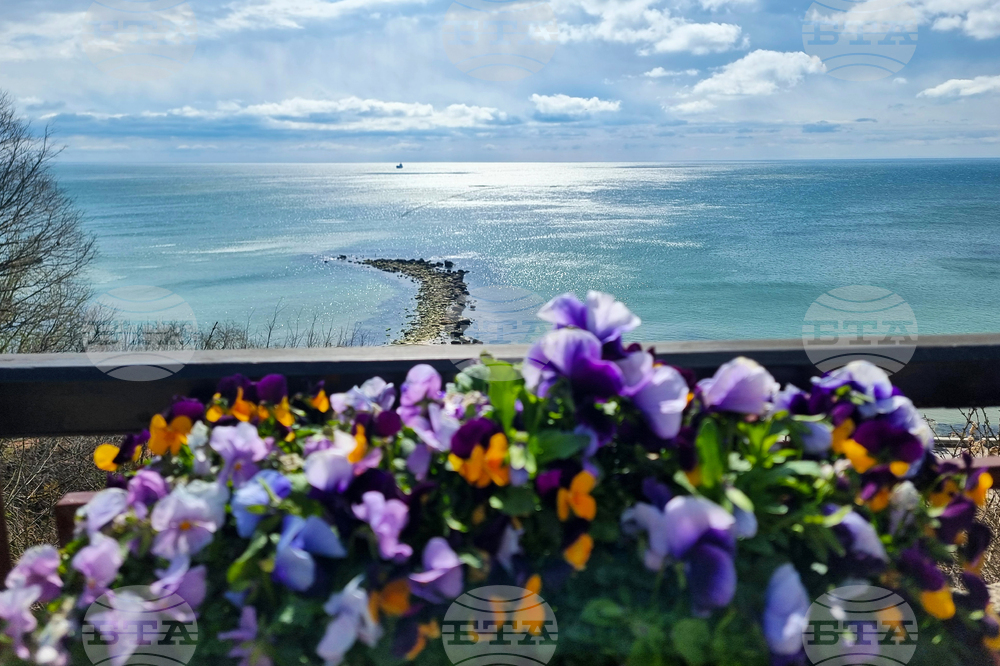 Балчик - Ботаническа градина - нов проект