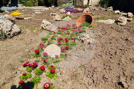 Балчик - Ботаническа градина - нов проект