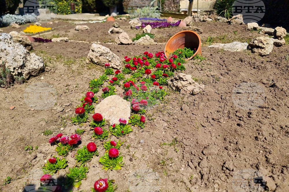 Балчик - Ботаническа градина - нов проект