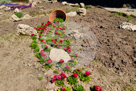 Балчик - Ботаническа градина - нов проект