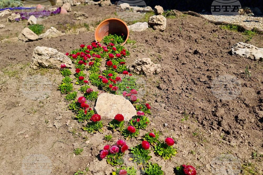 Балчик - Ботаническа градина - нов проект