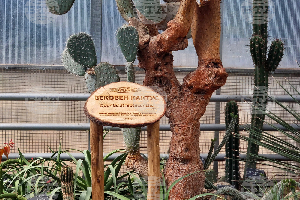 Балчик - Ботаническа градина - нов проект