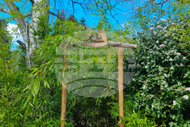 Балчик - Ботаническа градина - нов проект