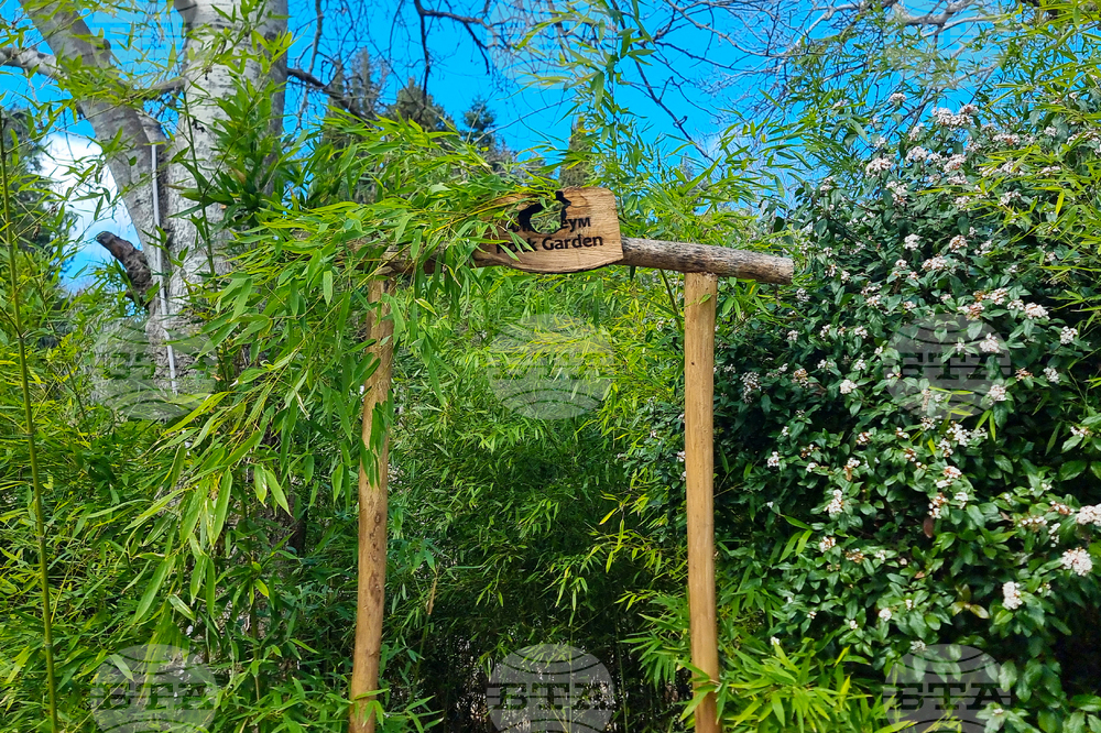 Балчик - Ботаническа градина - нов проект