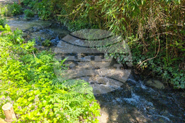 Балчик - Ботаническа градина - нов проект