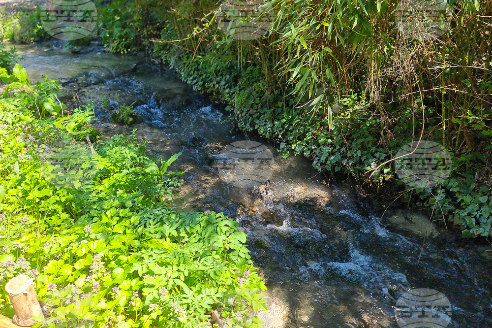 Балчик - Ботаническа градина - нов проект