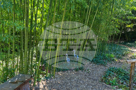 Балчик - Ботаническа градина - нов проект