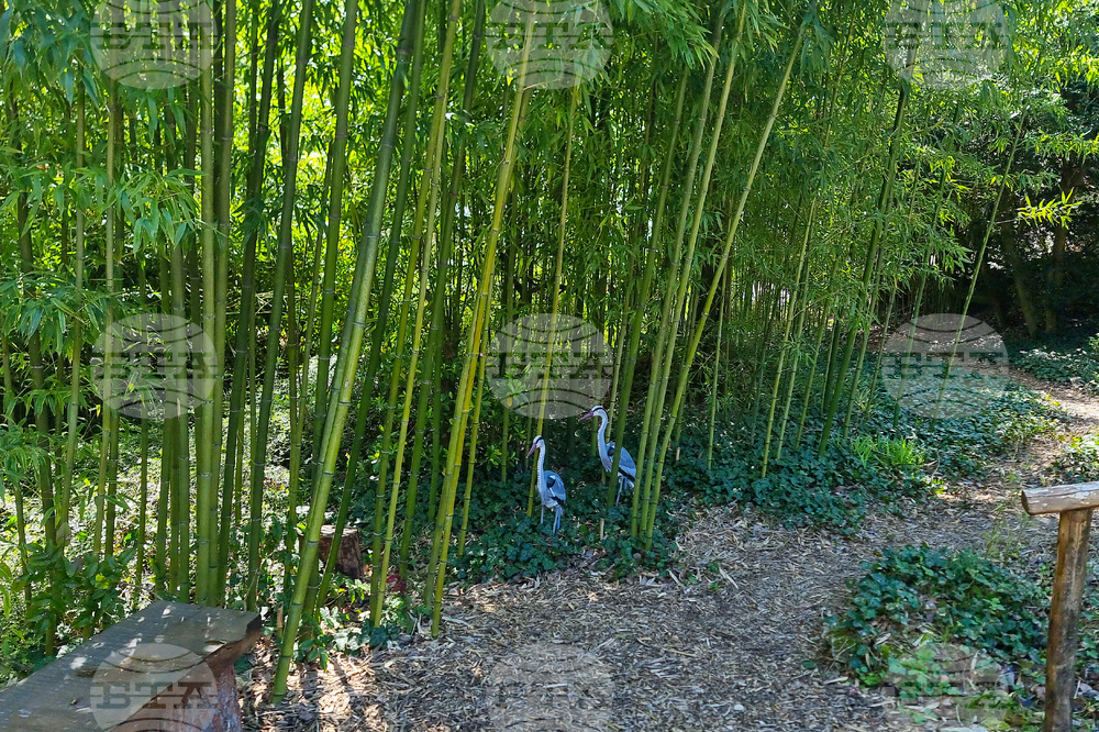 Балчик - Ботаническа градина - нов проект