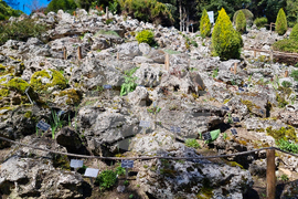 Балчик - Ботаническа градина - нов проект