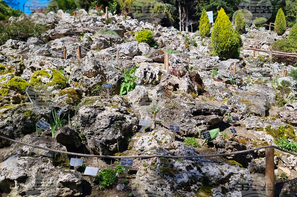 Балчик - Ботаническа градина - нов проект