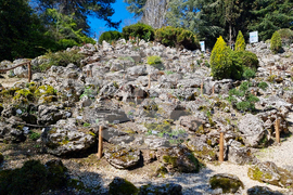 Балчик - Ботаническа градина - нов проект