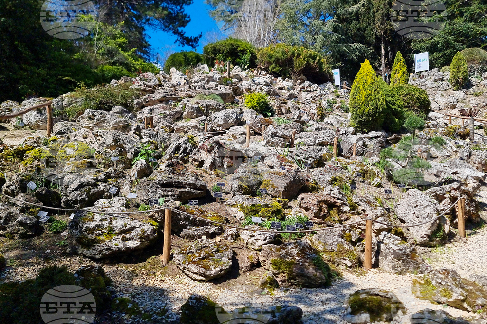 Балчик - Ботаническа градина - нов проект