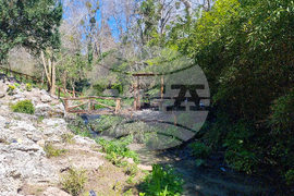 Балчик - Ботаническа градина - нов проект