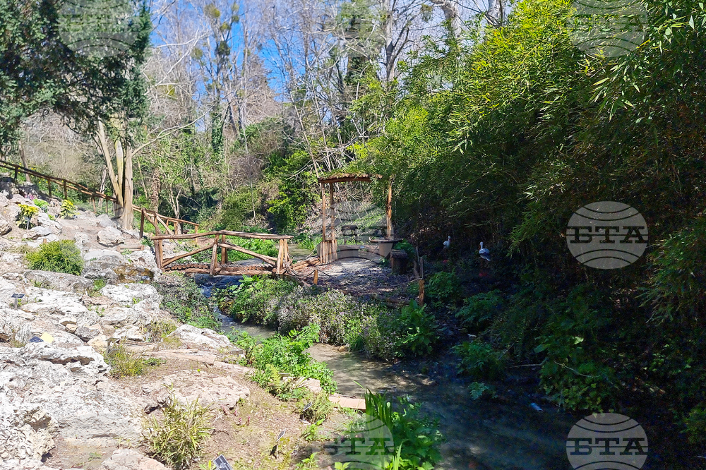 Балчик - Ботаническа градина - нов проект