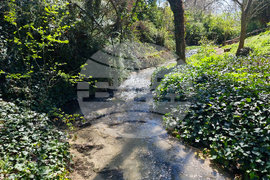 Балчик - Ботаническа градина - нов проект