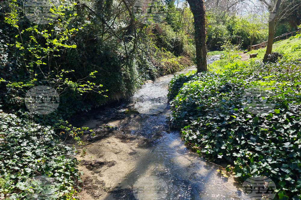 Балчик - Ботаническа градина - нов проект