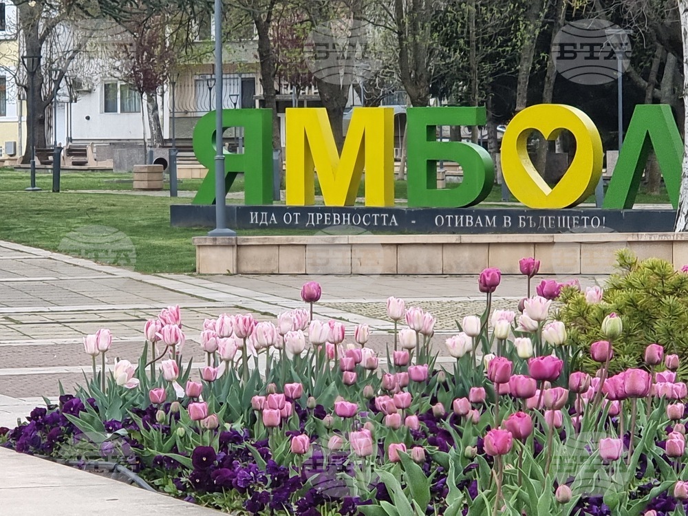 При 100 % обработени протоколи в област Ямбол „Прогресивна България” печели 54,95 на сто от гласовете, втори са ГЕРБ-СДС с 9,7 процента