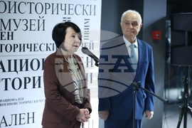 Национален военноисторически музей - Априлското въстание - изложба