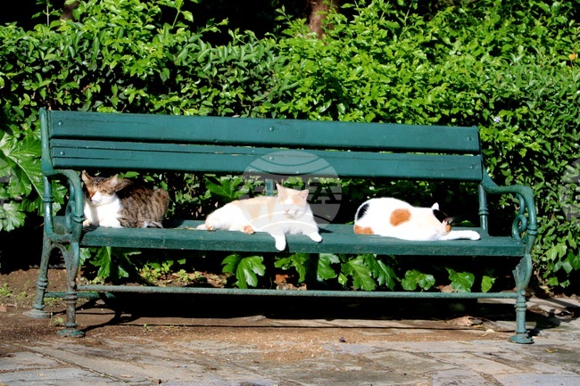 Weather in July: Lows from 10C to 15C, Highs from 38C to 43C