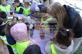 Празник на православния дух и традиции - традиционно боядисване на великденски яйца