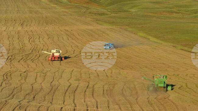 МОНЦАМЕ: Правителството на Монголия предприема мерки за подобряване на доставките на зеленчуци и подкрепа на земеделските производители