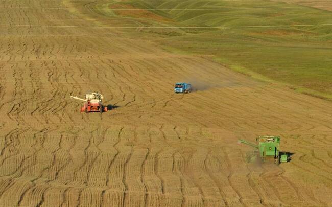 МОНЦАМЕ: Правителството на Монголия предприема мерки за подобряване на доставките на зеленчуци и подкрепа на земеделските производители