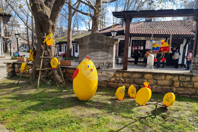 Добрич - етнографски комплекс - украса