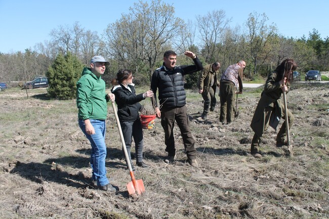 В Свиленградско залесиха пет декара с летен дъб в рамките на Седмицата на гората
